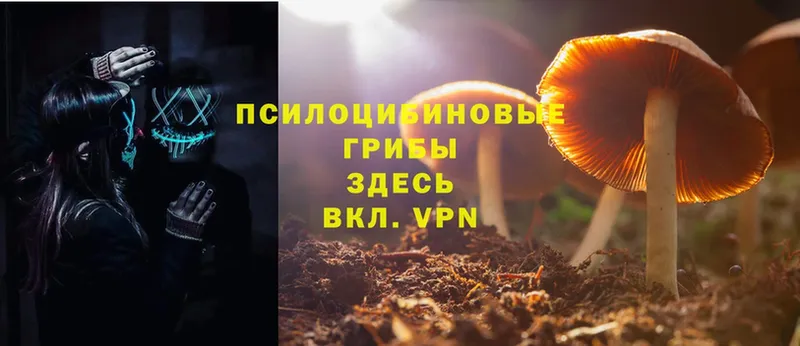 Галлюциногенные грибы Magic Shrooms  Октябрьский 